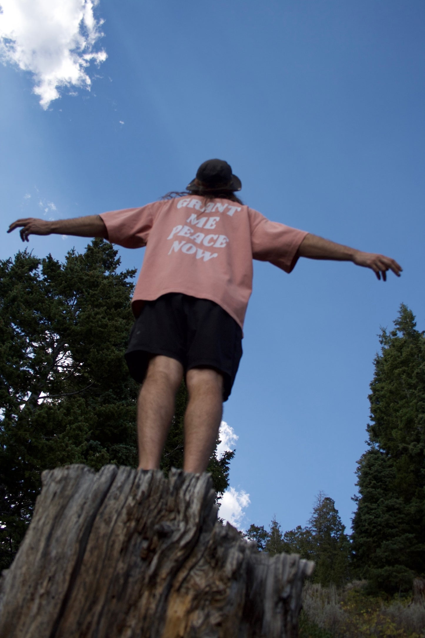 “GRANT ME PEACE NOW” TEE (desert rose)