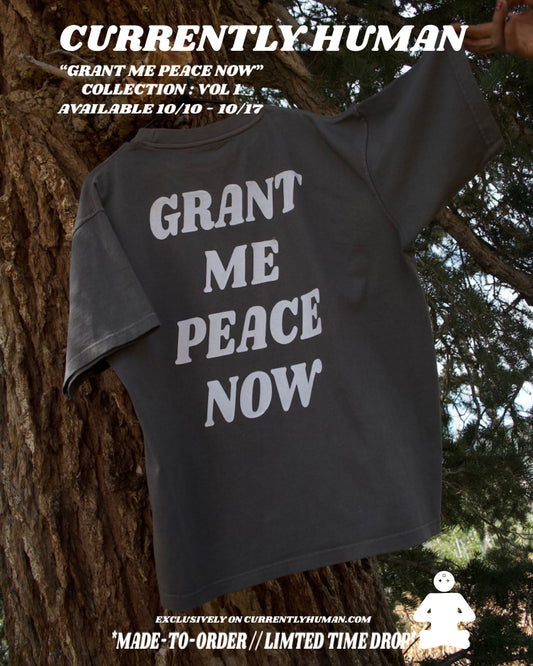 “GRANT ME PEACE NOW” TEE (smoke stone)