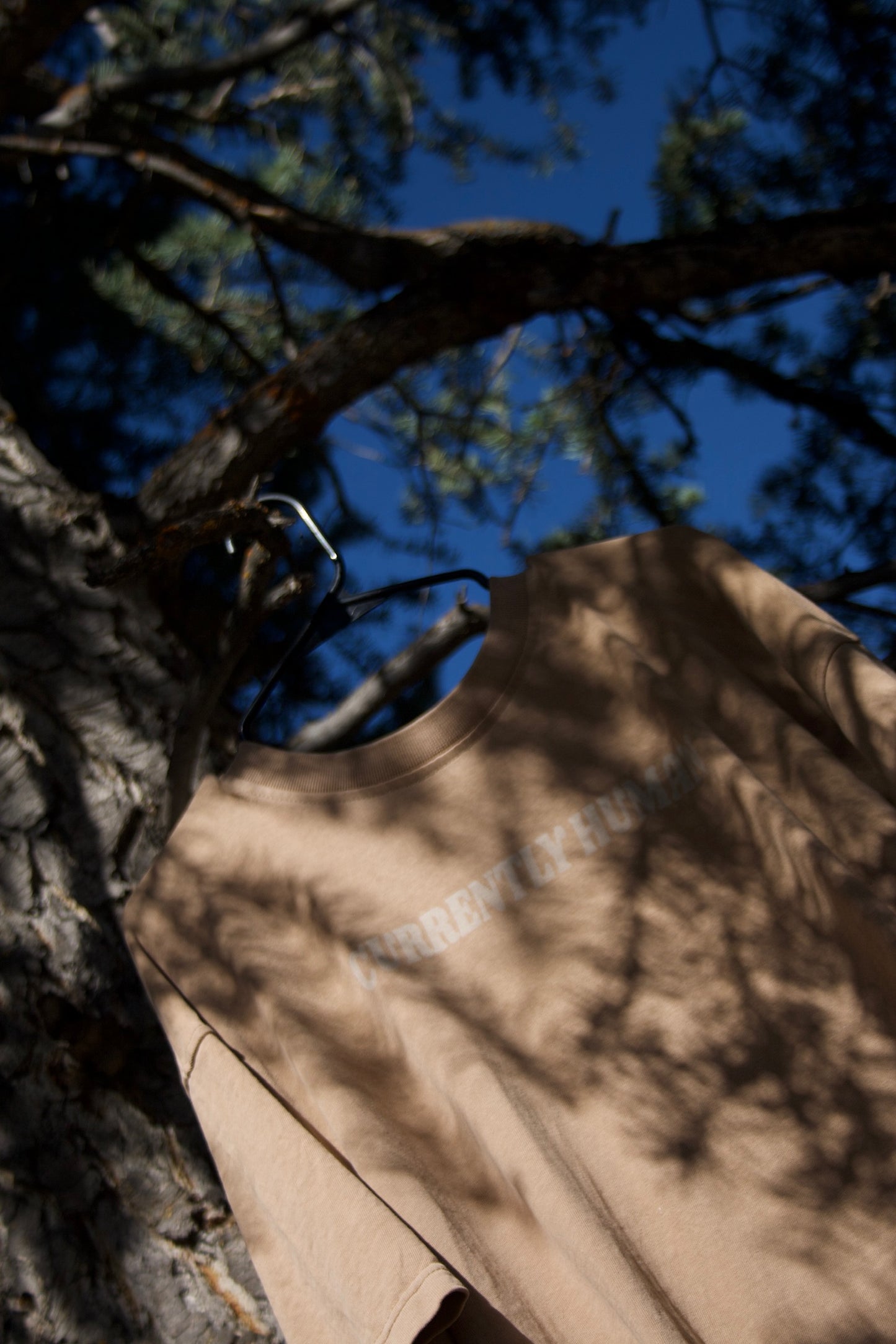 “GRANT ME PEACE NOW” TEE (sand dune)