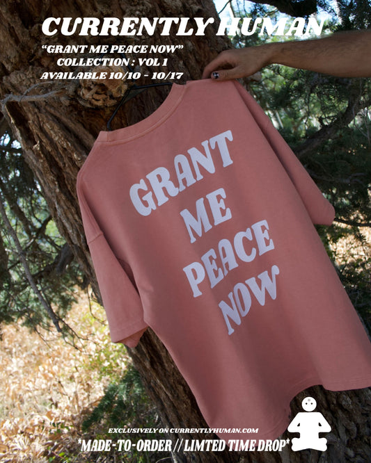 “GRANT ME PEACE NOW” TEE (desert rose)