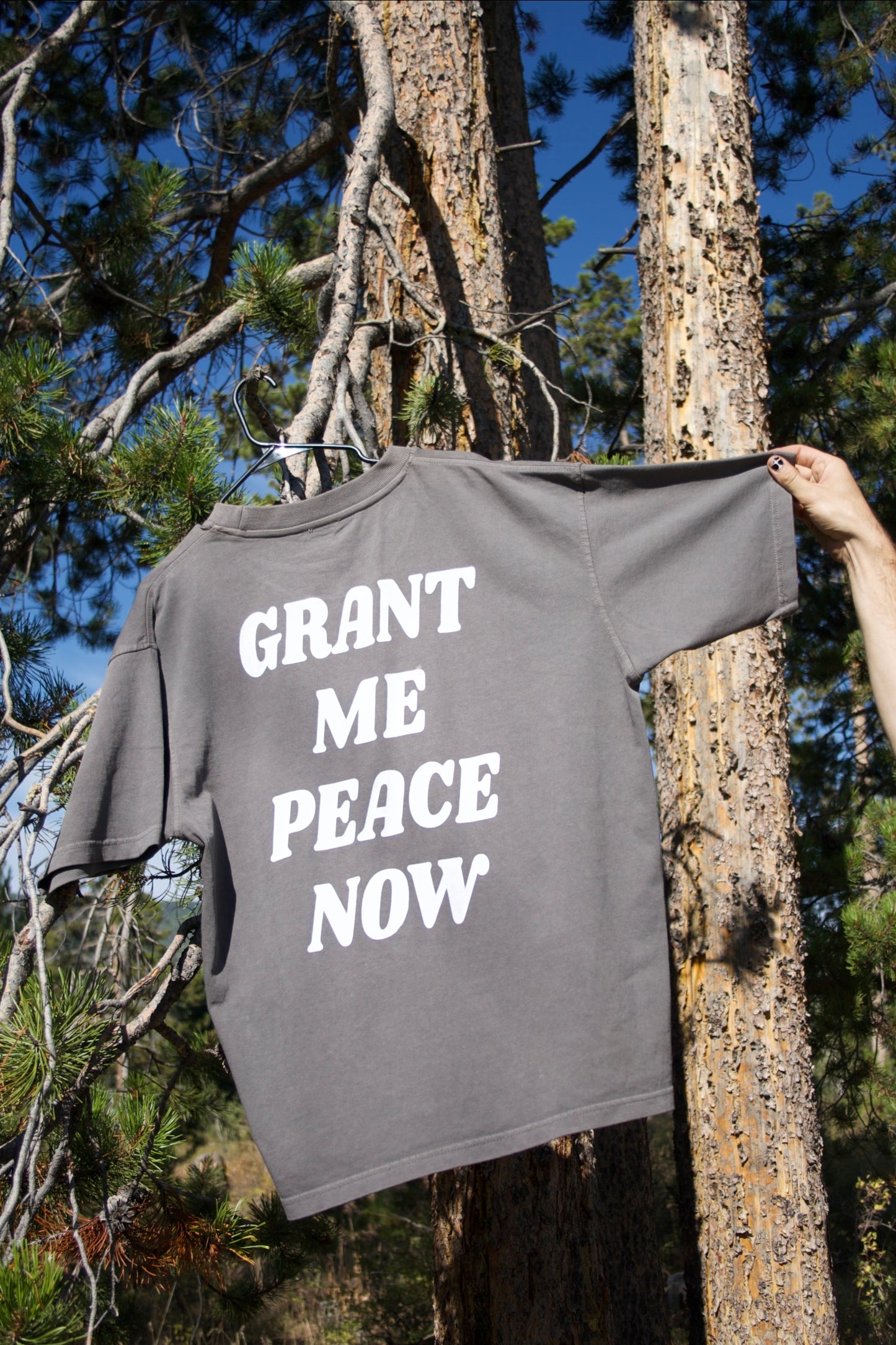 “GRANT ME PEACE NOW” TEE (smoke stone)