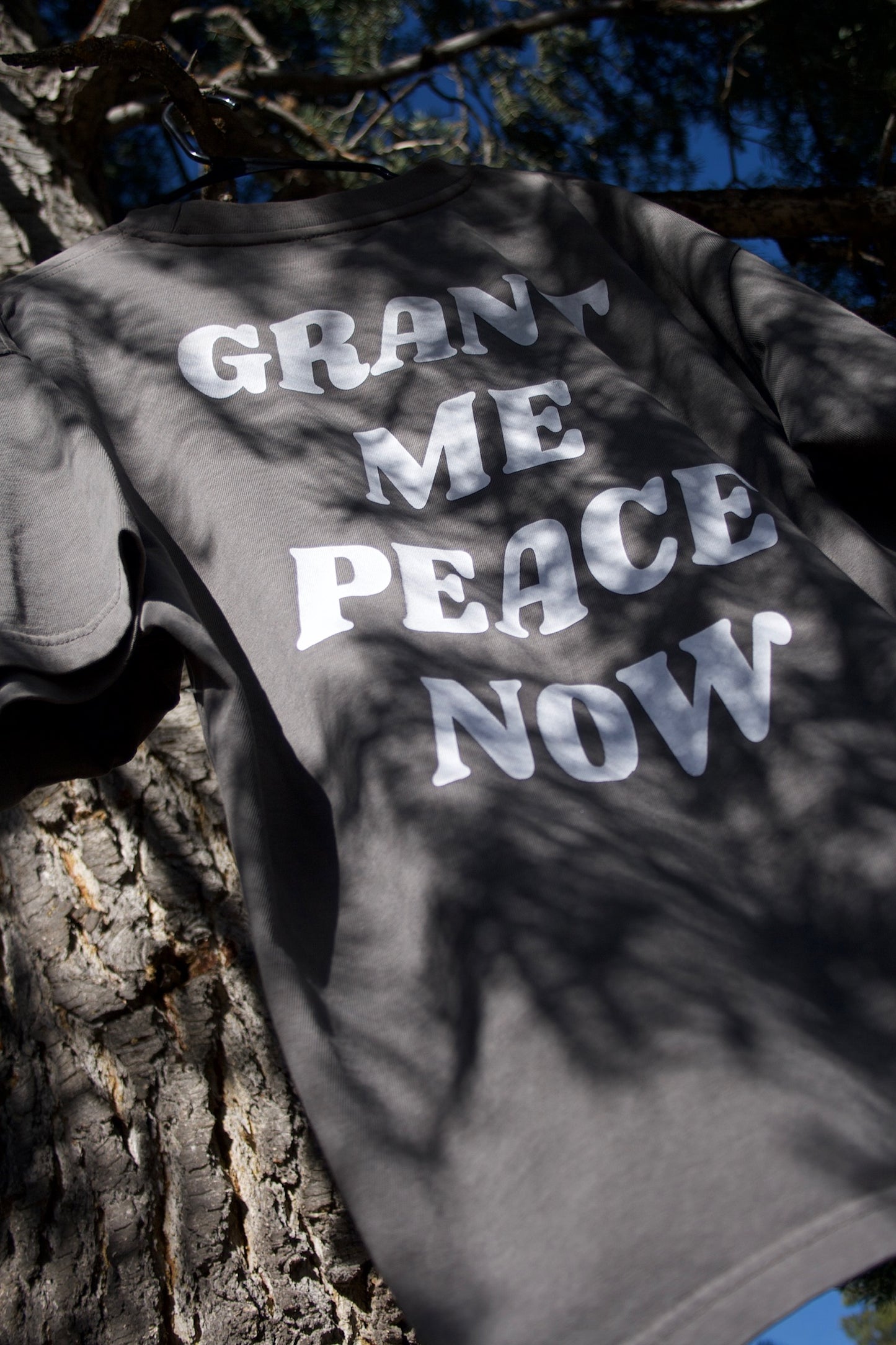 “GRANT ME PEACE NOW” TEE (smoke stone)