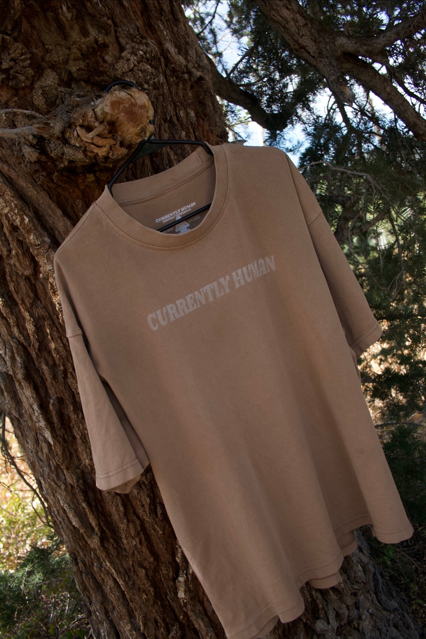 “GRANT ME PEACE NOW” TEE (sand dune)