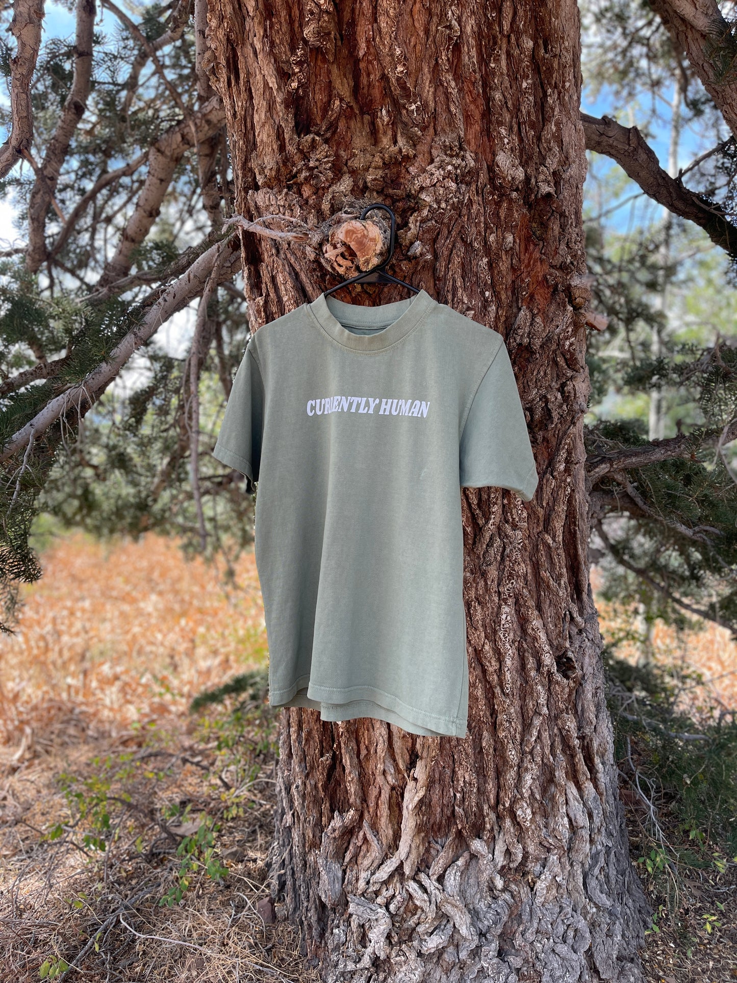 “GRANT ME PEACE NOW” TEE (mountain sage)
