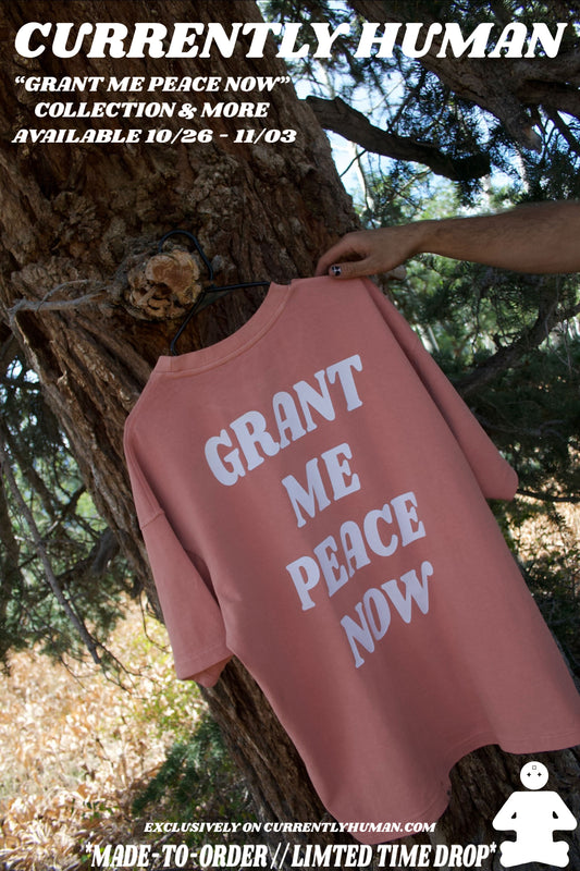 “GRANT ME PEACE NOW” TEE (desert rose)