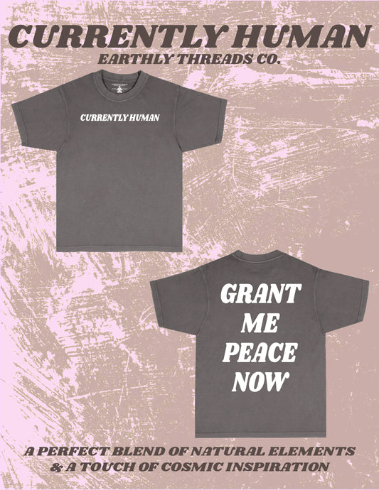 “GRANT ME PEACE NOW” TEE (smoke stone)