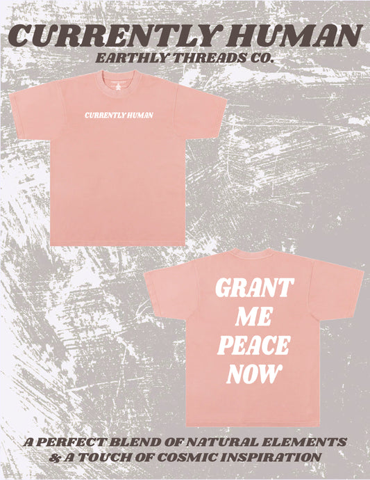 “GRANT ME PEACE NOW” TEE (desert rose)