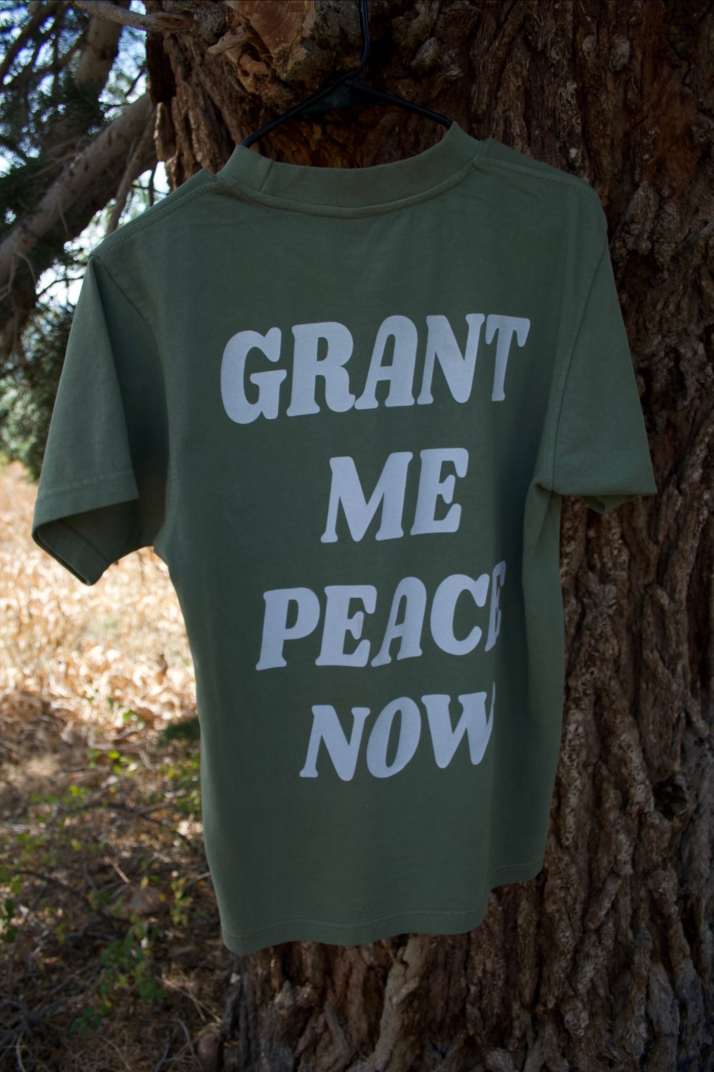 “GRANT ME PEACE NOW” TEE (mountain sage)